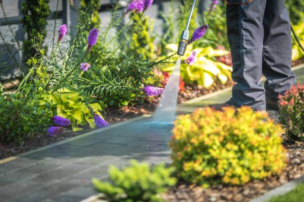 Best Driveway Cleaning and Restoration in Lauderdale, MN